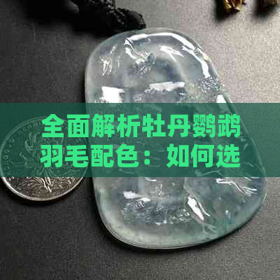 全面解析牡丹鹦鹉羽毛配色：如何选择合适的搭配与繁殖技巧