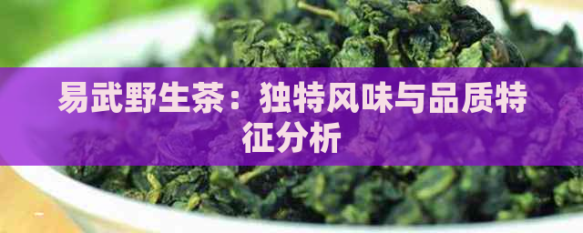 易武野生茶：独特风味与品质特征分析