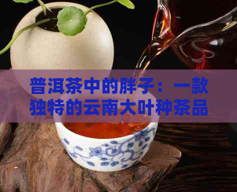 普洱茶中的胖子：一款独特的云南大叶种茶品探讨