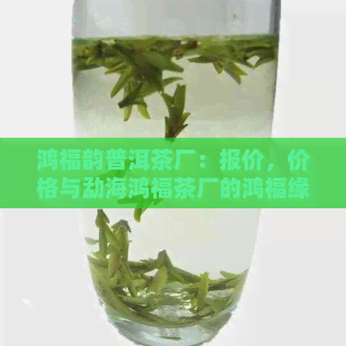 鸿福韵普洱茶厂：报价，价格与勐海鸿福茶厂的鸿福缘普洱茶信息