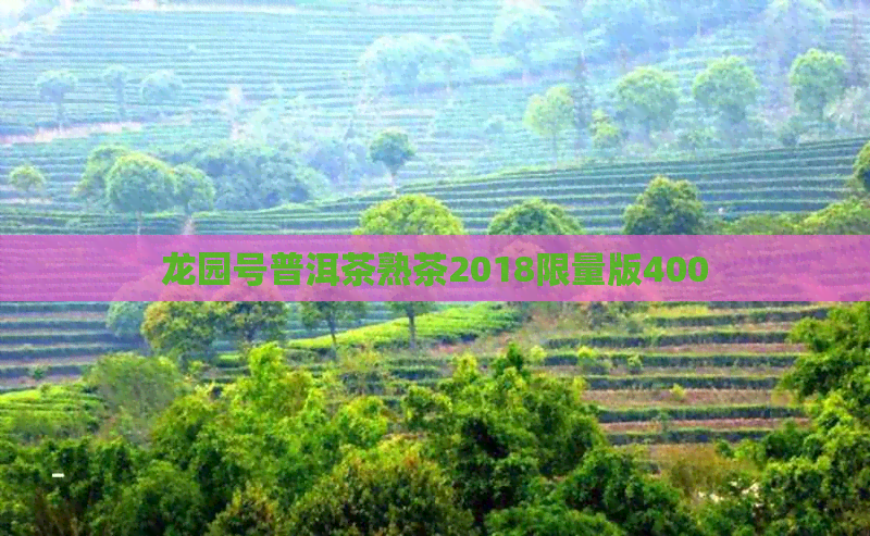 龙园号普洱茶熟茶2018限量版400