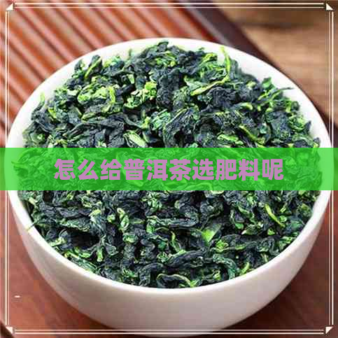 怎么给普洱茶选肥料呢