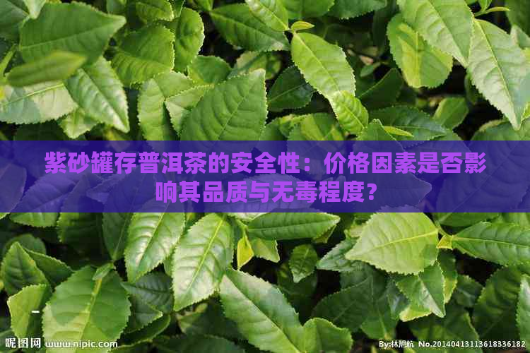 紫砂罐存普洱茶的安全性：价格因素是否影响其品质与无程度？