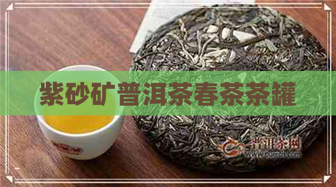 紫砂矿普洱茶春茶茶罐