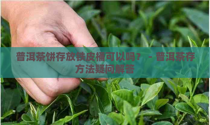 普洱茶饼存放铁皮桶可以吗？ - 普洱茶存方法疑问解答