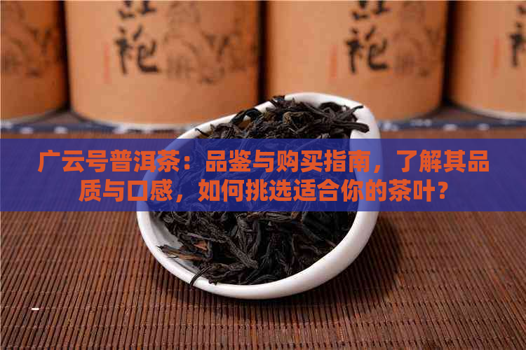 广云号普洱茶：品鉴与购买指南，了解其品质与口感，如何挑选适合你的茶叶？