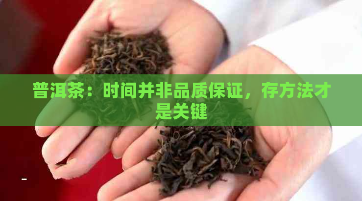 普洱茶：时间并非品质保证，存方法才是关键