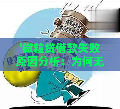 '微粒贷借款失败原因分析：为何无法成功借出'