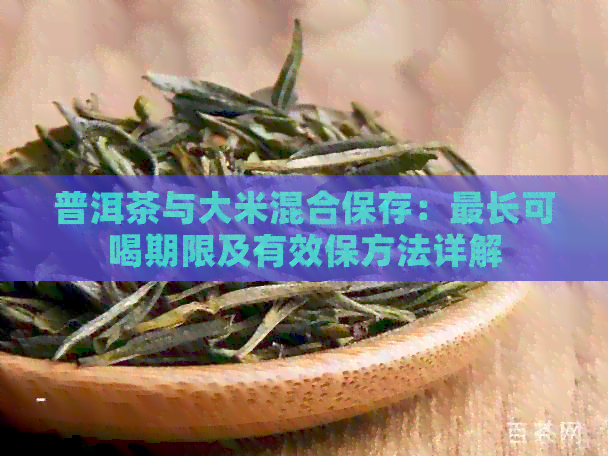 普洱茶与大米混合保存：最长可喝期限及有效保方法详解