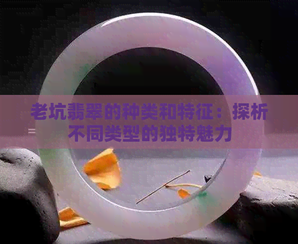 老坑翡翠的种类和特征：探析不同类型的独特魅力