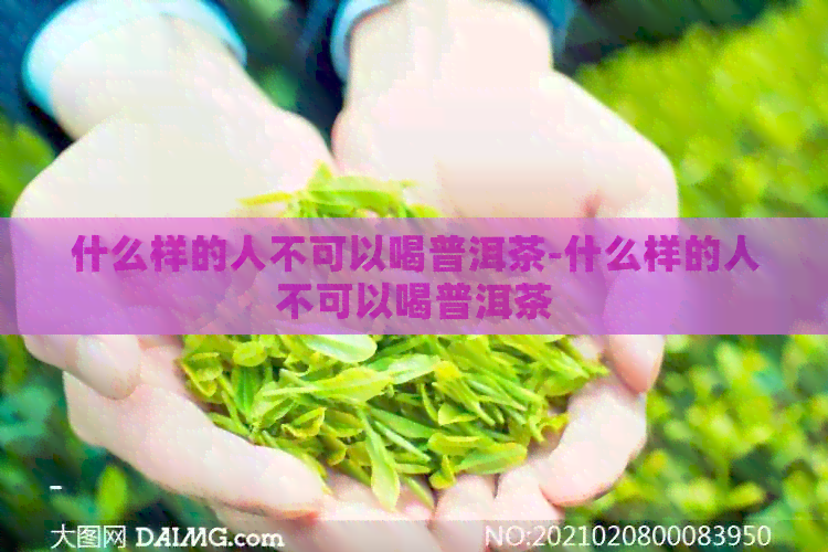 什么样的人不可以喝普洱茶-什么样的人不可以喝普洱茶