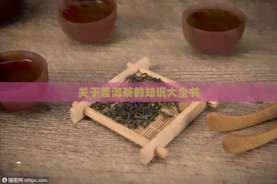 关于普洱茶的知识大全书