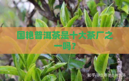 国艳普洱茶是十大茶厂之一吗？