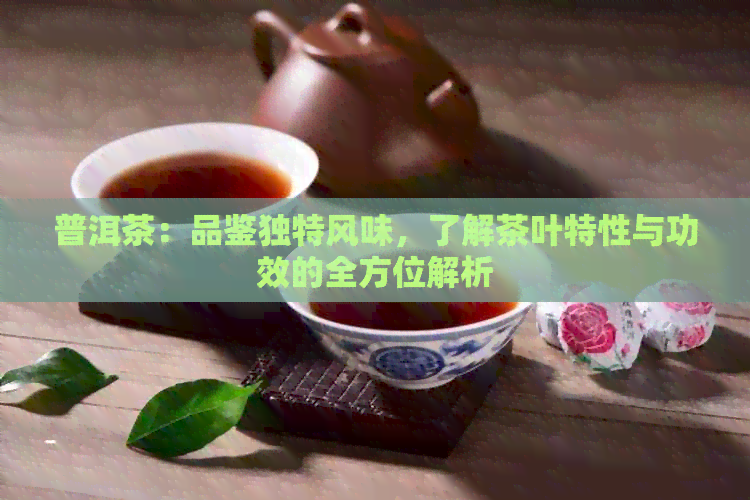 普洱茶：品鉴独特风味，了解茶叶特性与功效的全方位解析