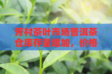 芳村茶叶市场普洱茶仓库存量增加，价格表显示价值上涨