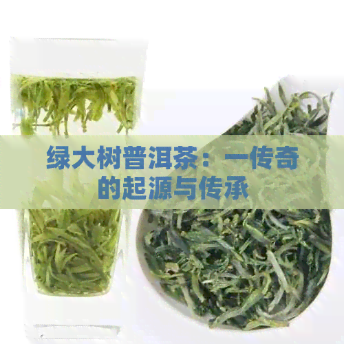 绿大树普洱茶：一传奇的起源与传承