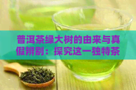 普洱茶绿大树的由来与真假辨别：探究这一独特茶叶的意义与鉴别方法