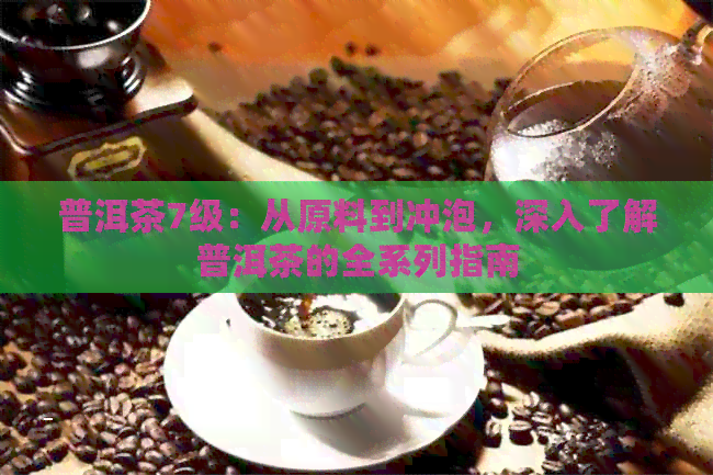 普洱茶7级：从原料到冲泡，深入了解普洱茶的全系列指南