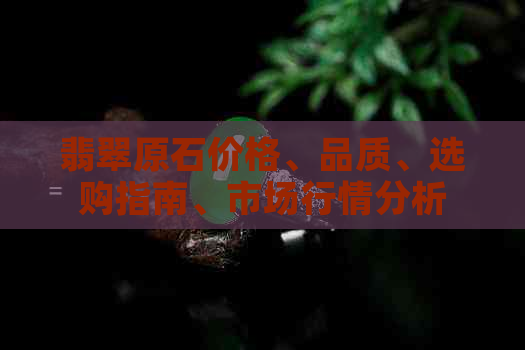 翡翠原石价格、品质、选购指南、市场行情分析