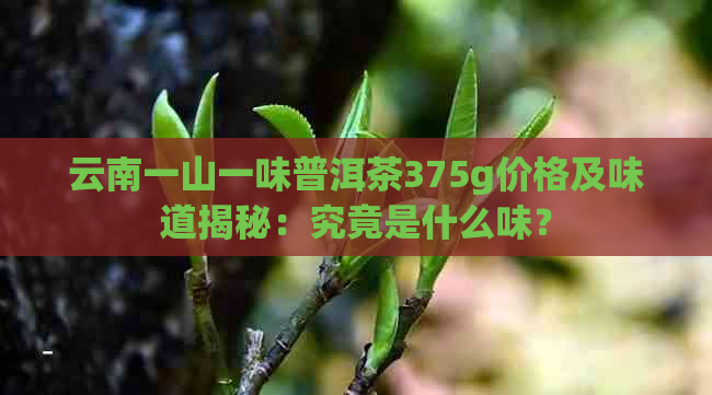 云南一山一味普洱茶375g价格及味道揭秘：究竟是什么味？