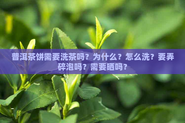 普洱茶饼需要洗茶吗？为什么？怎么洗？要弄碎泡吗？需要晒吗？