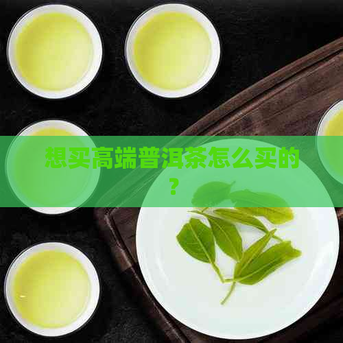 想买高端普洱茶怎么买的？