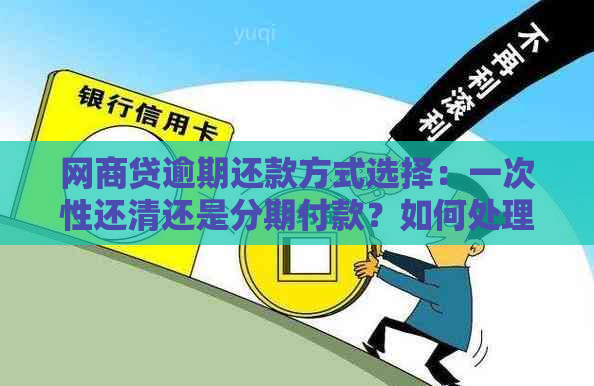 网商贷逾期还款方式选择：一次性还清还是分期付款？如何处理？