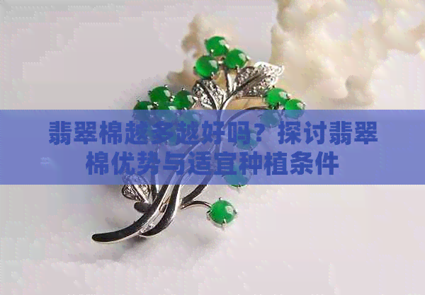 翡翠棉越多越好吗？探讨翡翠棉优势与适宜种植条件