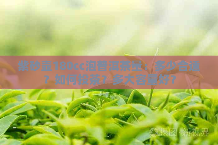 紫砂壶180cc泡普洱茶量：多少合适？如何投茶？多大容量好？