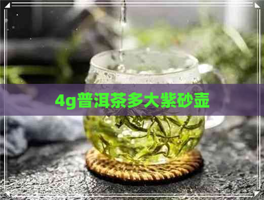 4g普洱茶多大紫砂壶