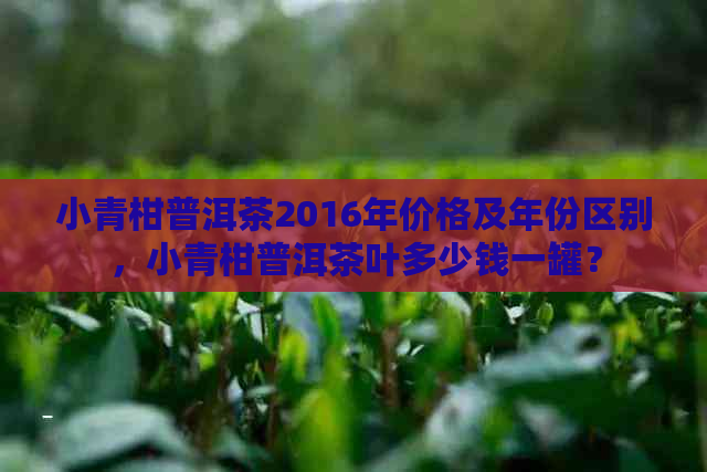 小青柑普洱茶2016年价格及年份区别，小青柑普洱茶叶多少钱一罐？