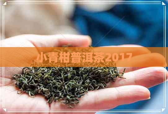 小青柑普洱茶2017