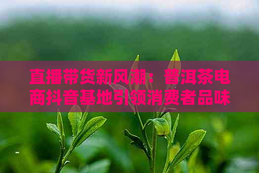 直播带货新风潮：普洱茶电商抖音基地引领消费者品味独特魅力