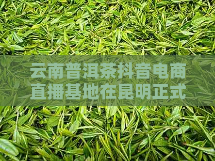 云南普洱茶抖音电商直播基地在昆明正式建立，助力当地茶叶产业转型升级