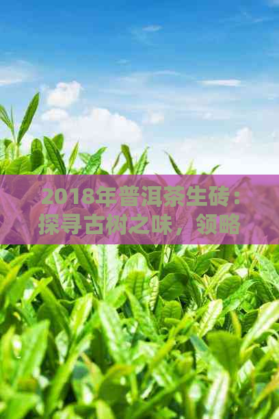 2018年普洱茶生砖：探寻古树之味，领略熟茶工艺之美