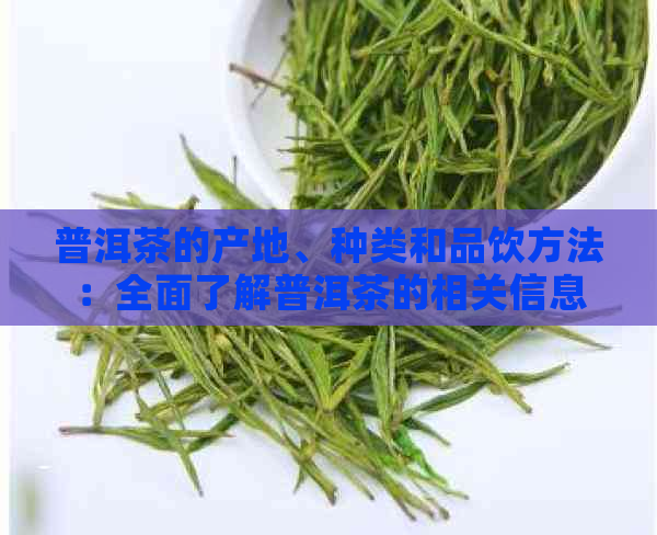 普洱茶的产地、种类和品饮方法：全面了解普洱茶的相关信息