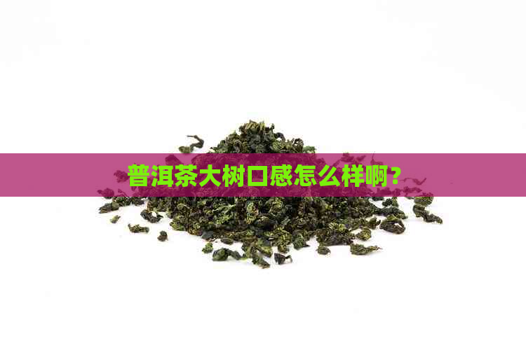 普洱茶大树口感怎么样啊？