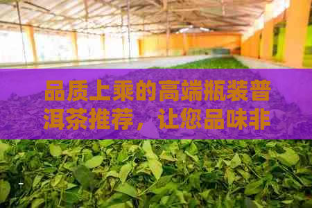 品质上乘的高端瓶装普洱茶推荐，让您品味非凡口感