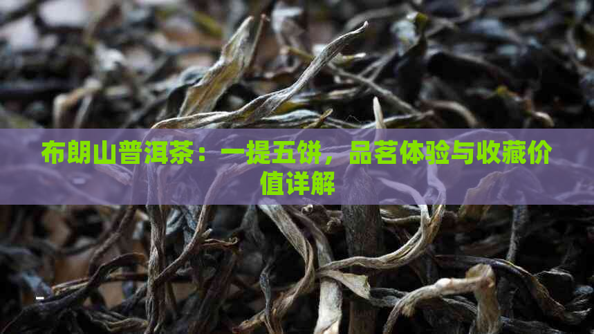 布朗山普洱茶：一提五饼，品茗体验与收藏价值详解