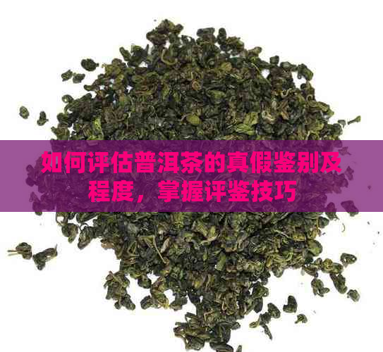 如何评估普洱茶的真假鉴别及程度，掌握评鉴技巧