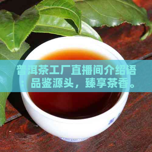 普洱茶工厂直播间介绍语：品鉴源头，臻享茶香。