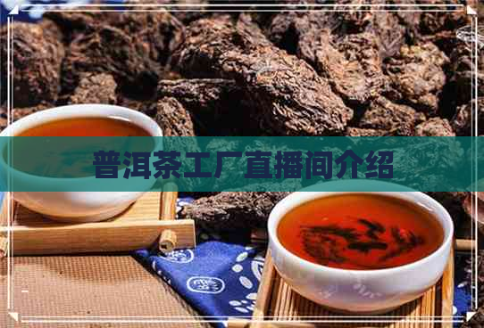 普洱茶工厂直播间介绍