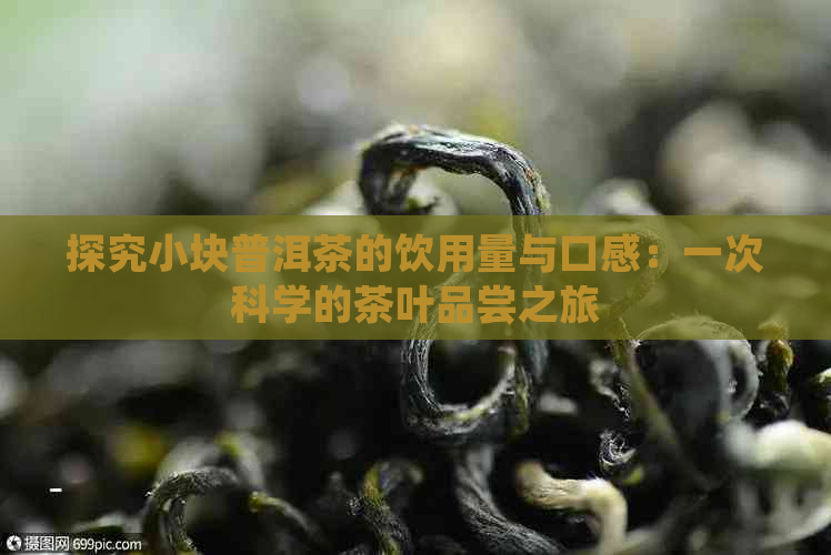 探究小块普洱茶的饮用量与口感：一次科学的茶叶品尝之旅