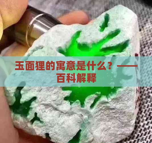 玉面狸的寓意是什么？——百科解释