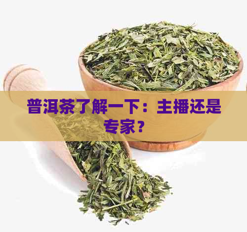 普洱茶了解一下：主播还是专家？