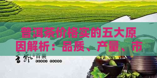 普洱茶价格实的五大原因解析：品质、产量、市场、工艺与影响