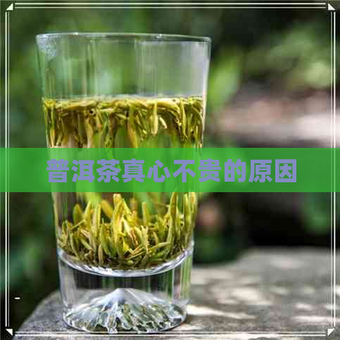 普洱茶真心不贵的原因