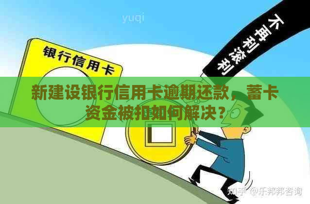 新建设银行信用卡逾期还款，蓄卡资金被扣如何解决？