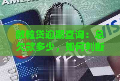 微粒贷逾期查询：总欠款多少，如何判断是否逾期？