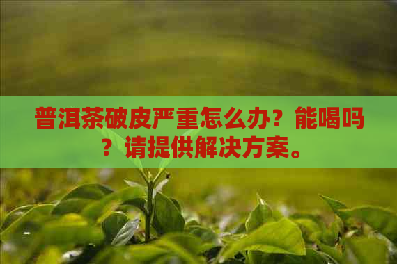 普洱茶破皮严重怎么办？能喝吗？请提供解决方案。